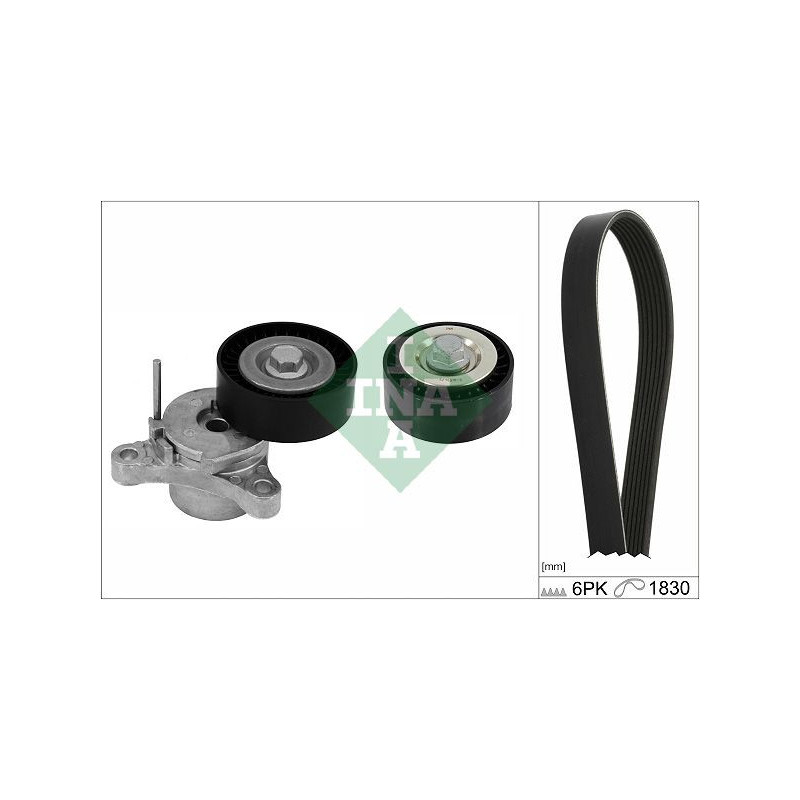 Tendicinghia trapezoidale - INA