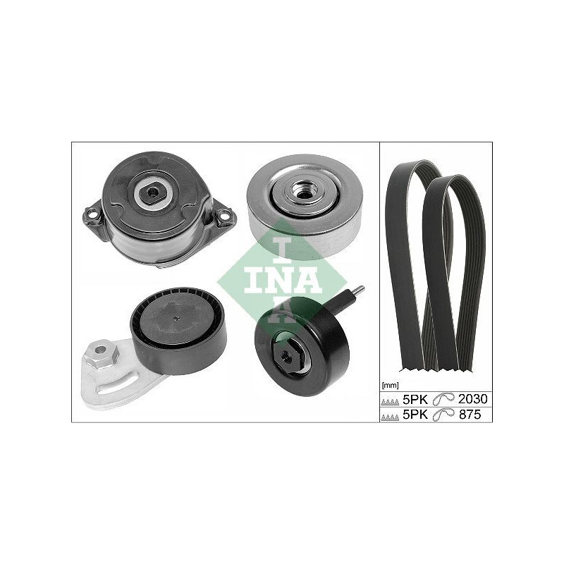 Tendicinghia trapezoidale - INA