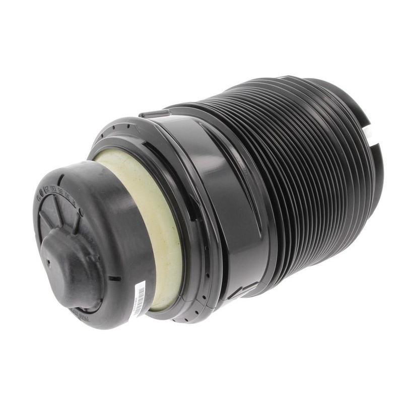 Molla sospensione asse posteriore - CORTECO