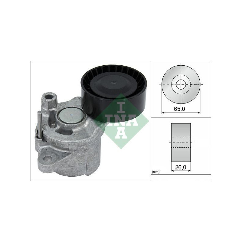 Tendicinghia trapezoidale - INA