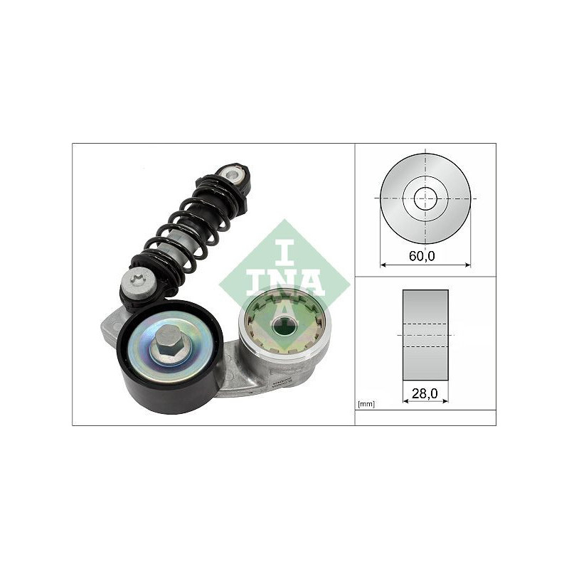 Tendicinghia trapezoidale - INA