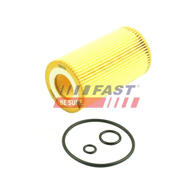 Filtro olio - FAST