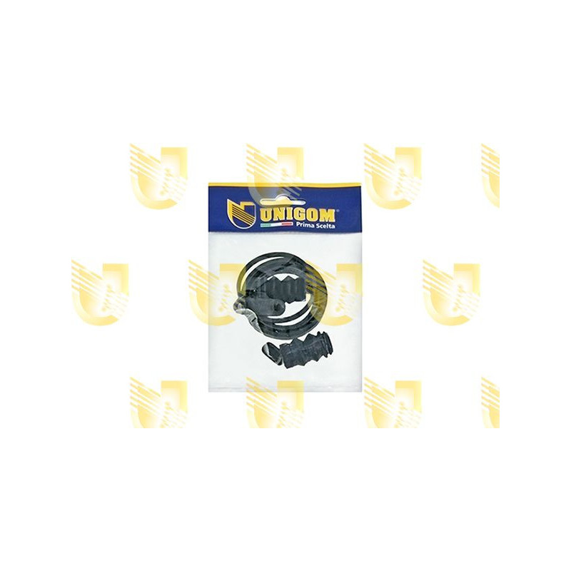 Pinza freno asse posteriore - UNIGOM
