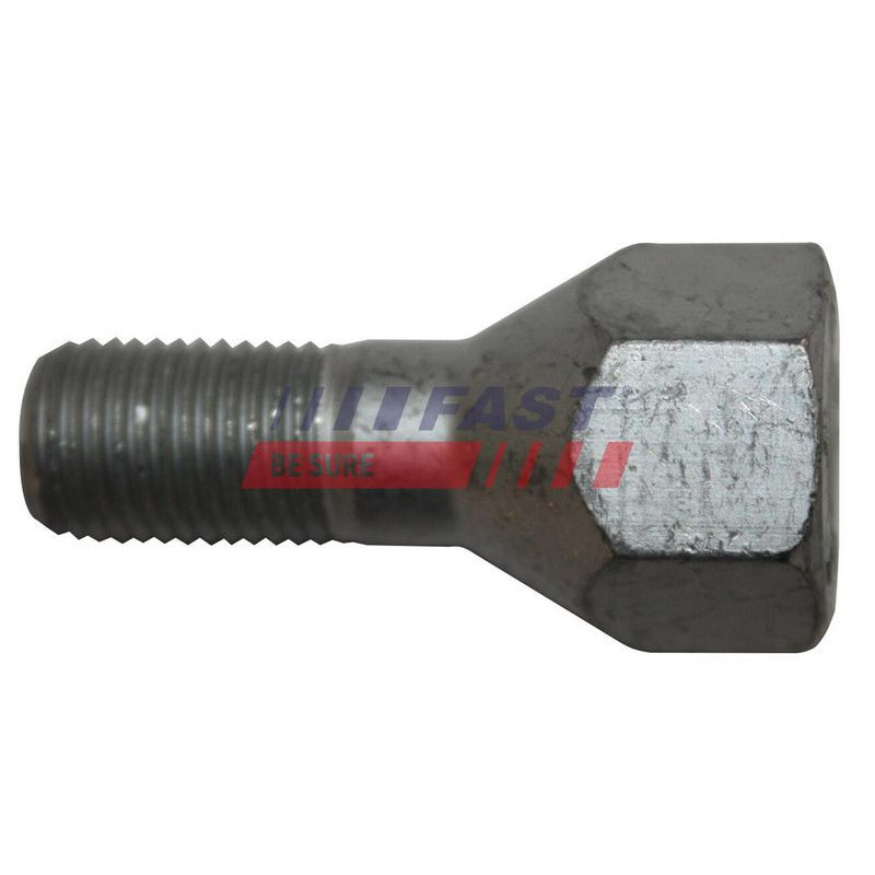 Tendicinghia distribuzione - FAST