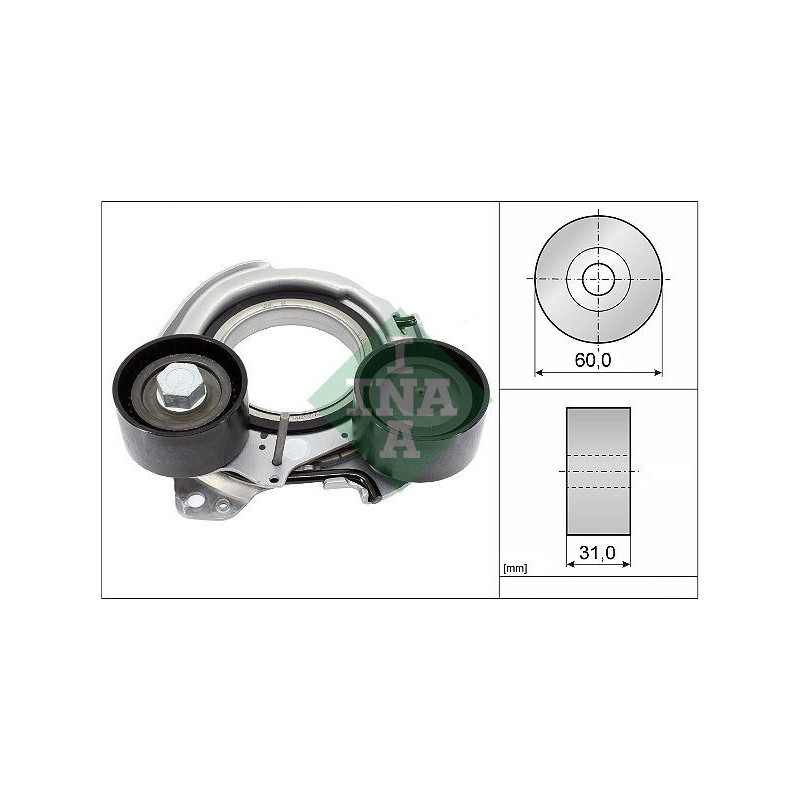 Tendicinghia trapezoidale - INA