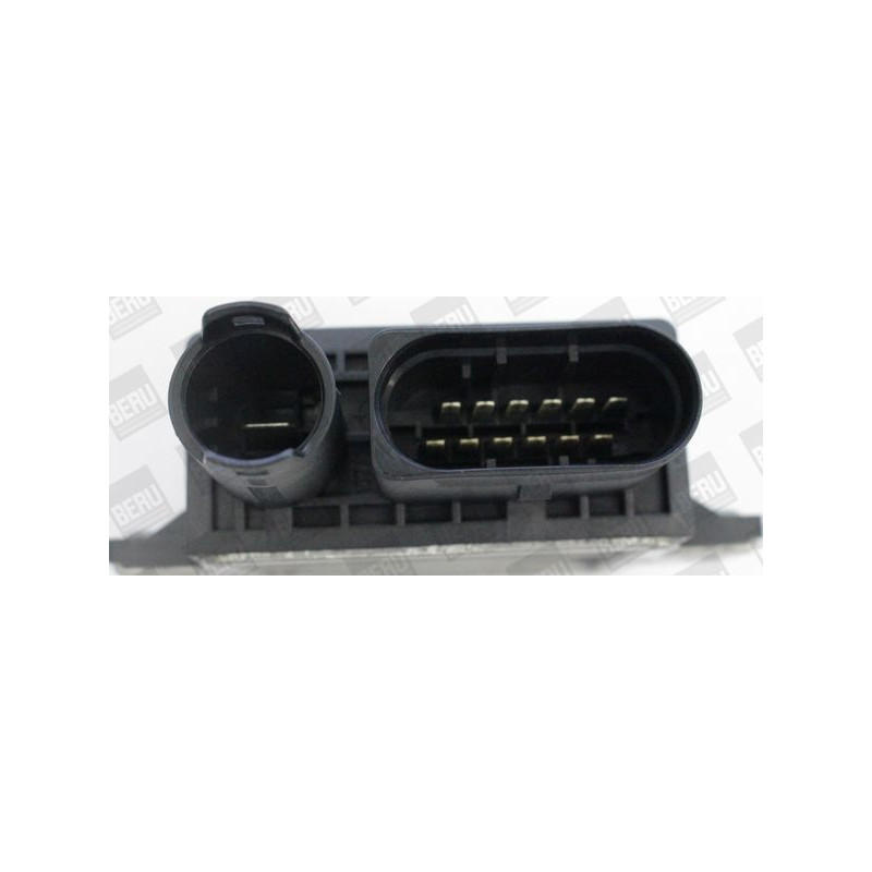 Candeletta - BORG WARNER