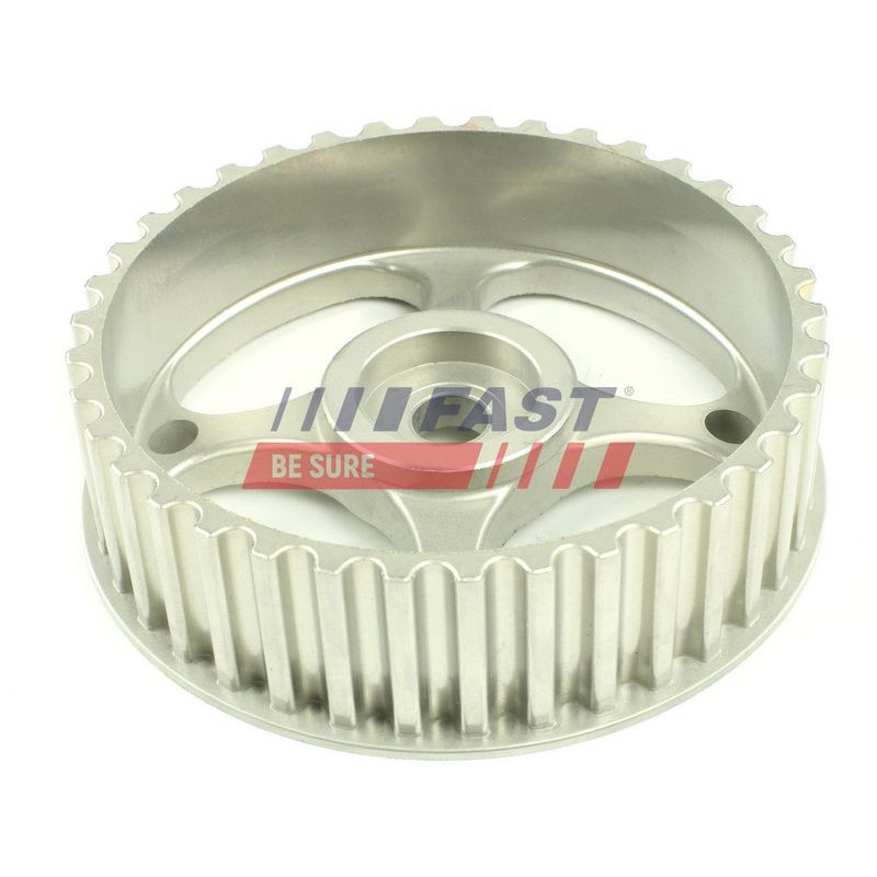 Tendicinghia distribuzione - FAST