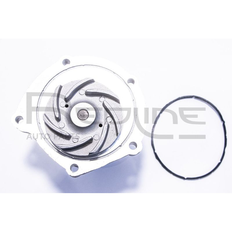 Pompa acqua - RED LINE