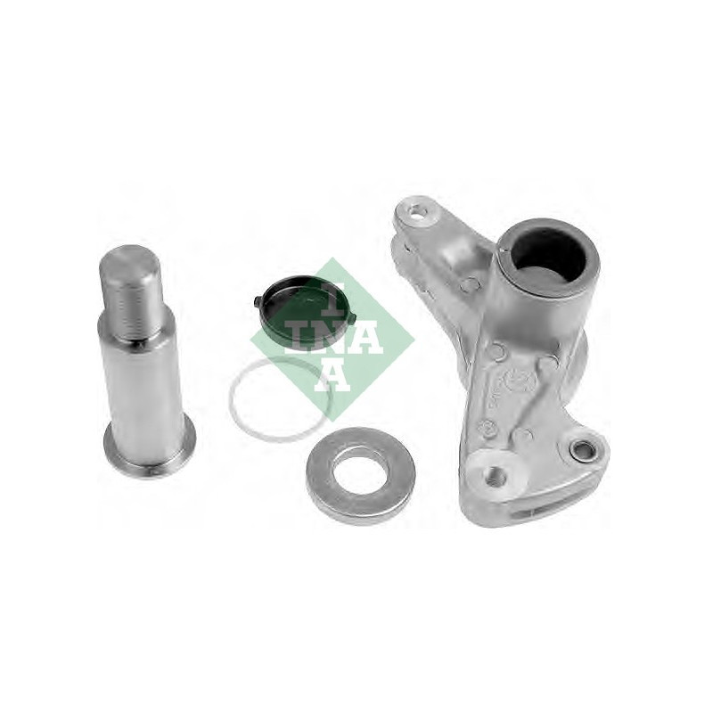 Tendicinghia trapezoidale - INA