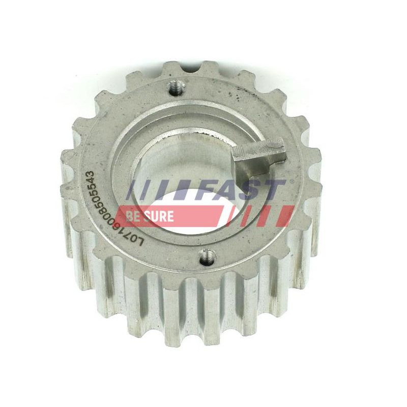 Tendicinghia distribuzione - FAST