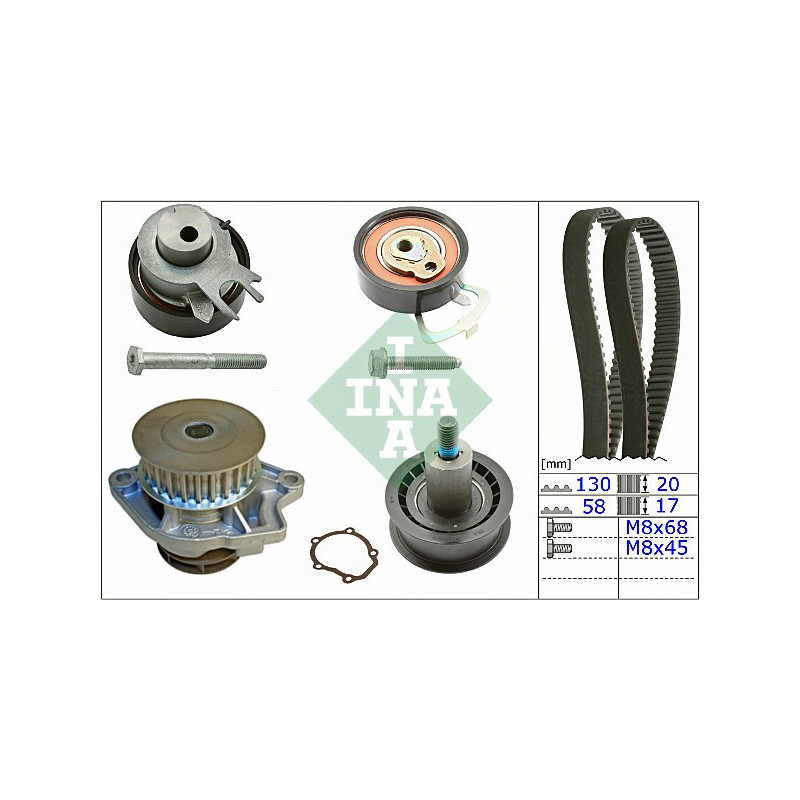 Cinghia/catena distribuzione - INA