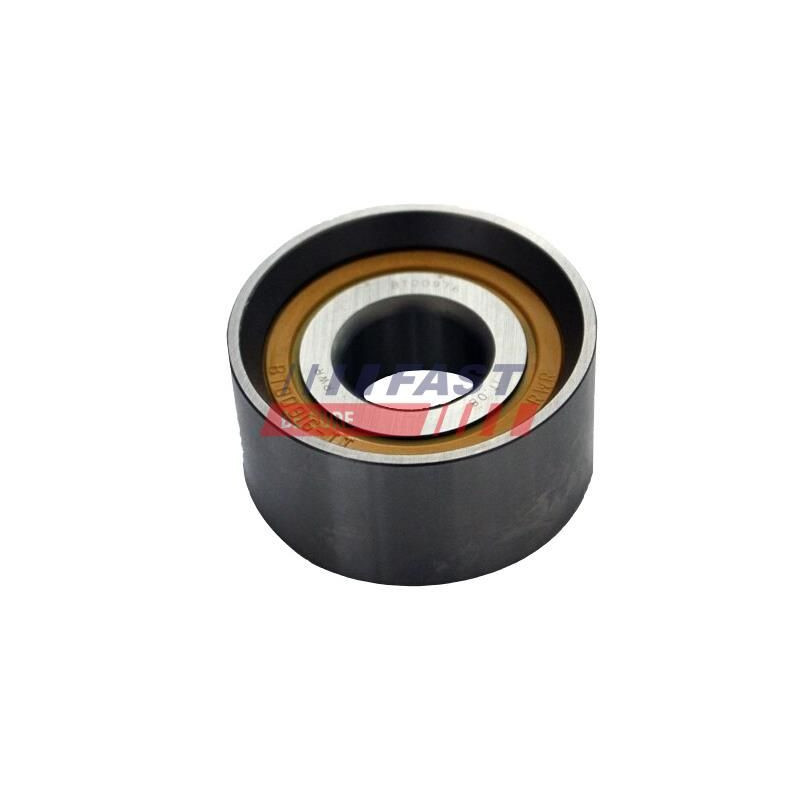 Tendicinghia distribuzione - FAST