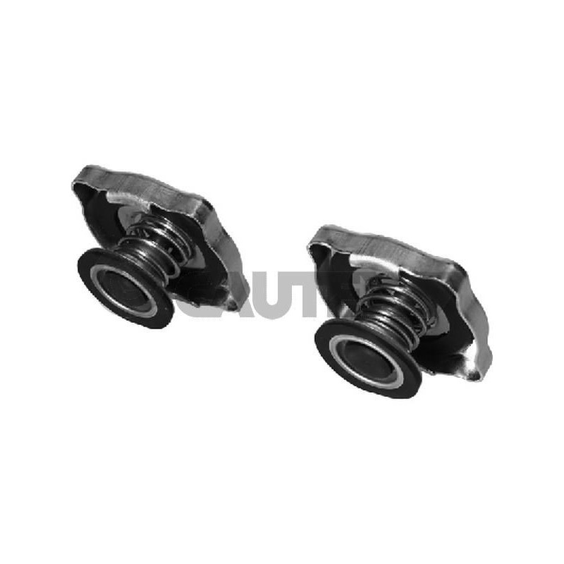 Radiatore olio motore - CAUTEX GOMMA E PARTI MOTORE