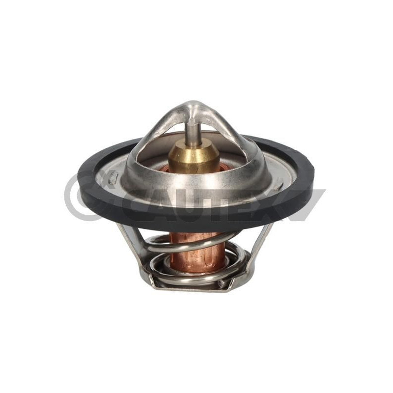 Termostato raffreddamento - CAUTEX GOMMA E PARTI MOTORE