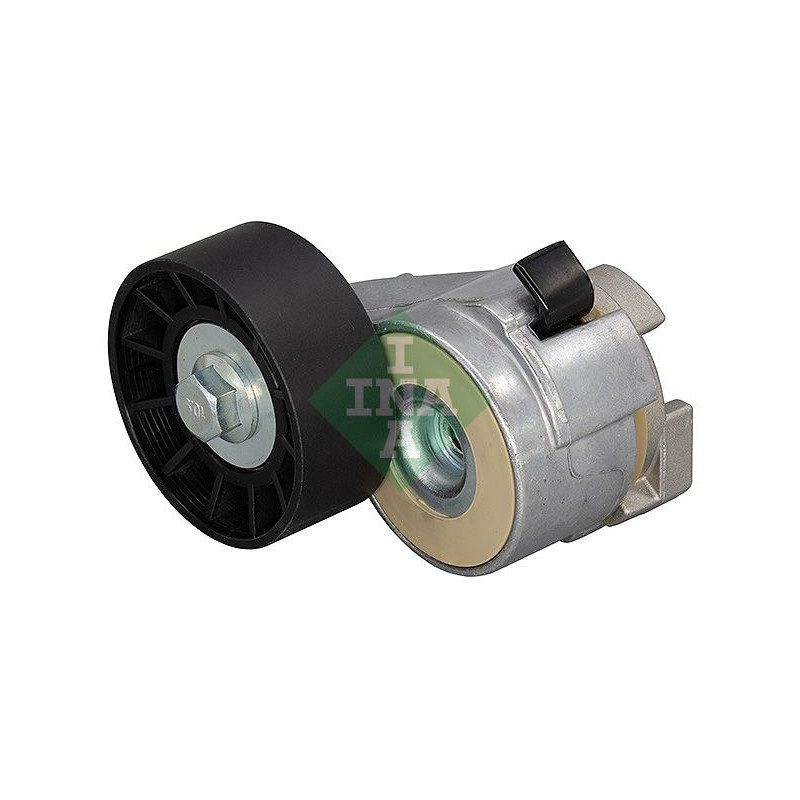 Tendicinghia trapezoidale - INA