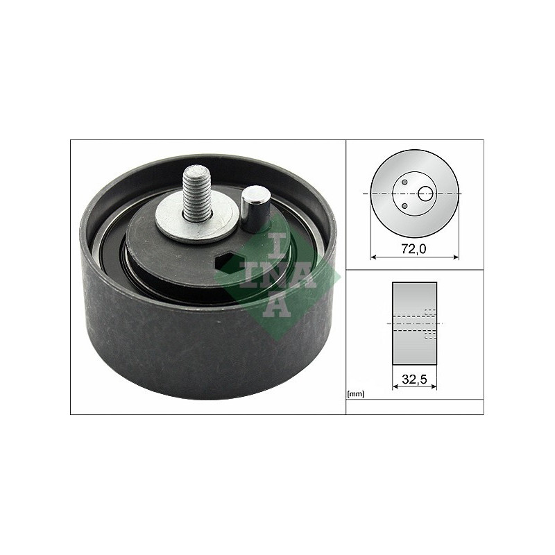 Tendicinghia distribuzione - INA