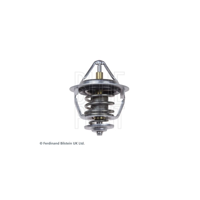 Termostato raffreddamento - BLUE PRINT