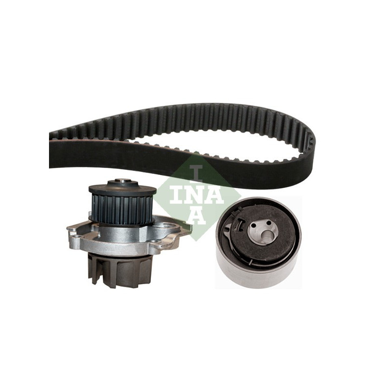 Cinghia/catena distribuzione - INA