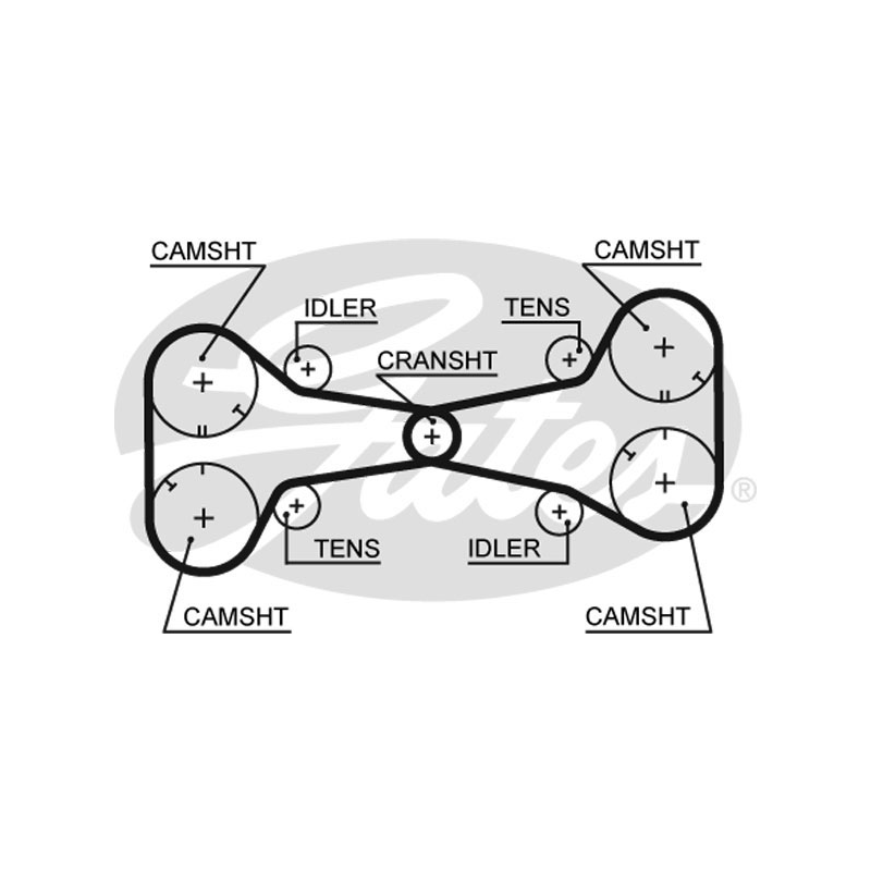 Cinghia/catena distribuzione - GATES