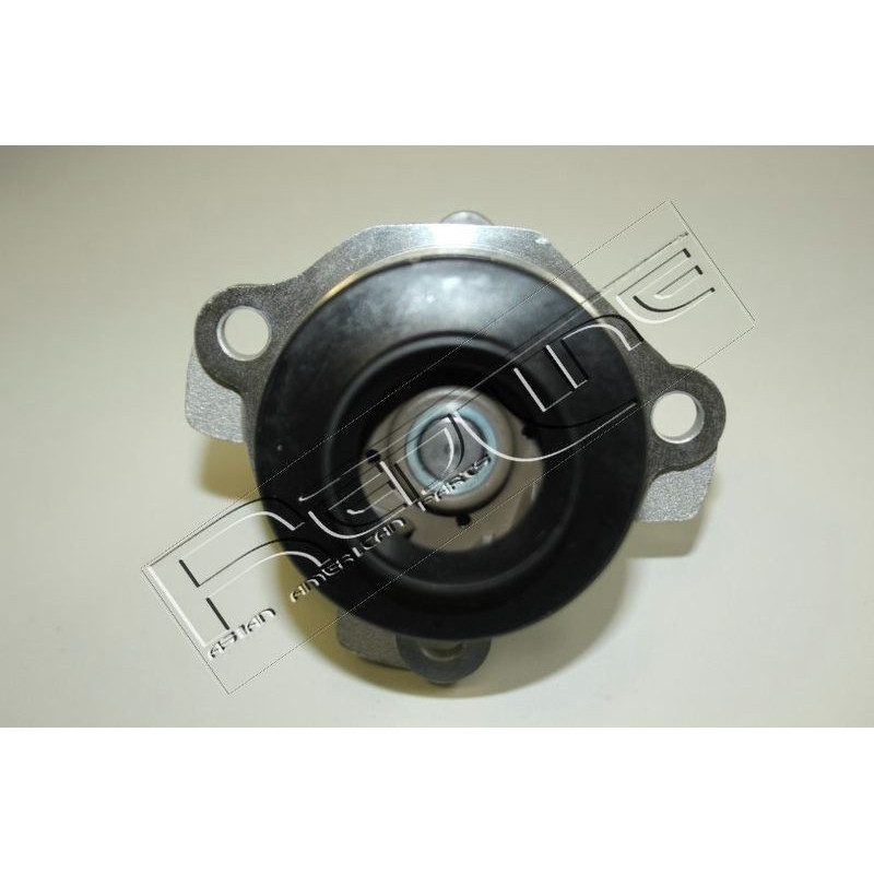 Pompa acqua - RED LINE