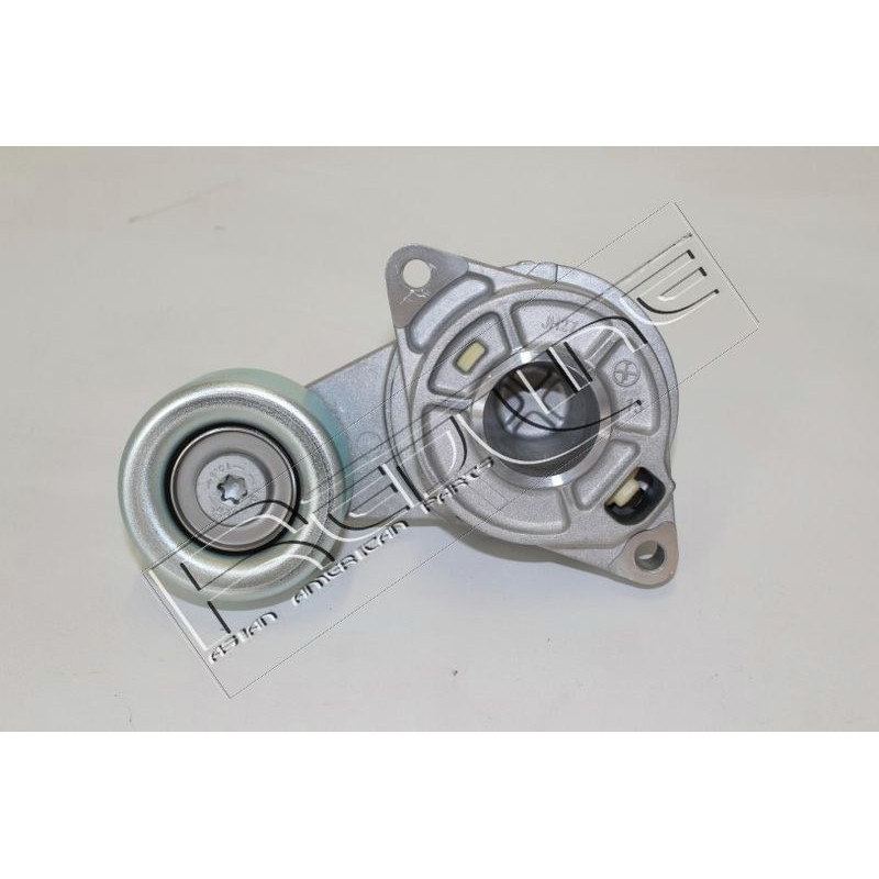 Tendicinghia trapezoidale - RED LINE