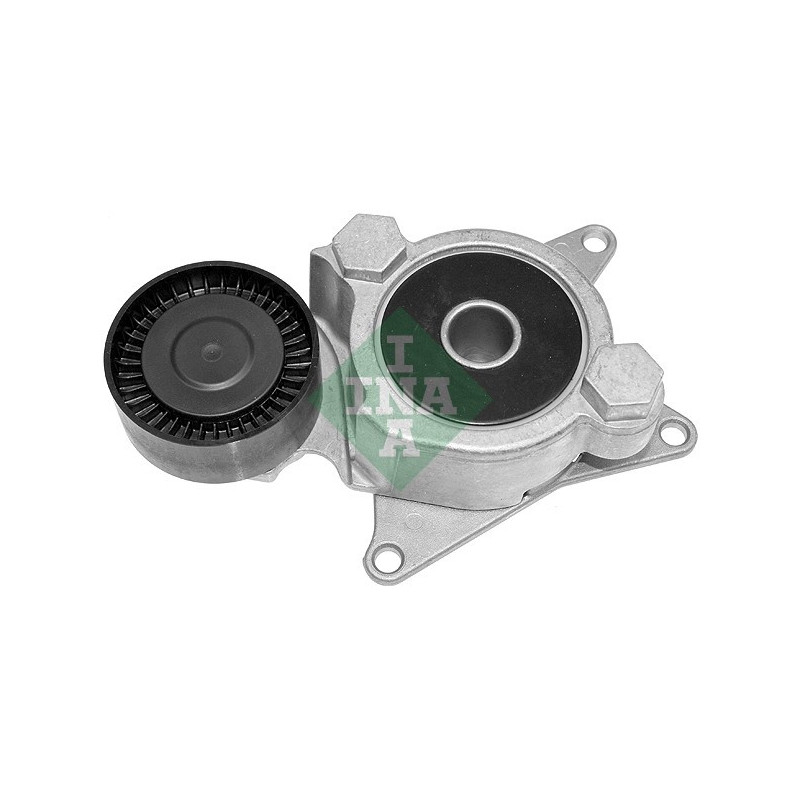 Tendicinghia trapezoidale - INA