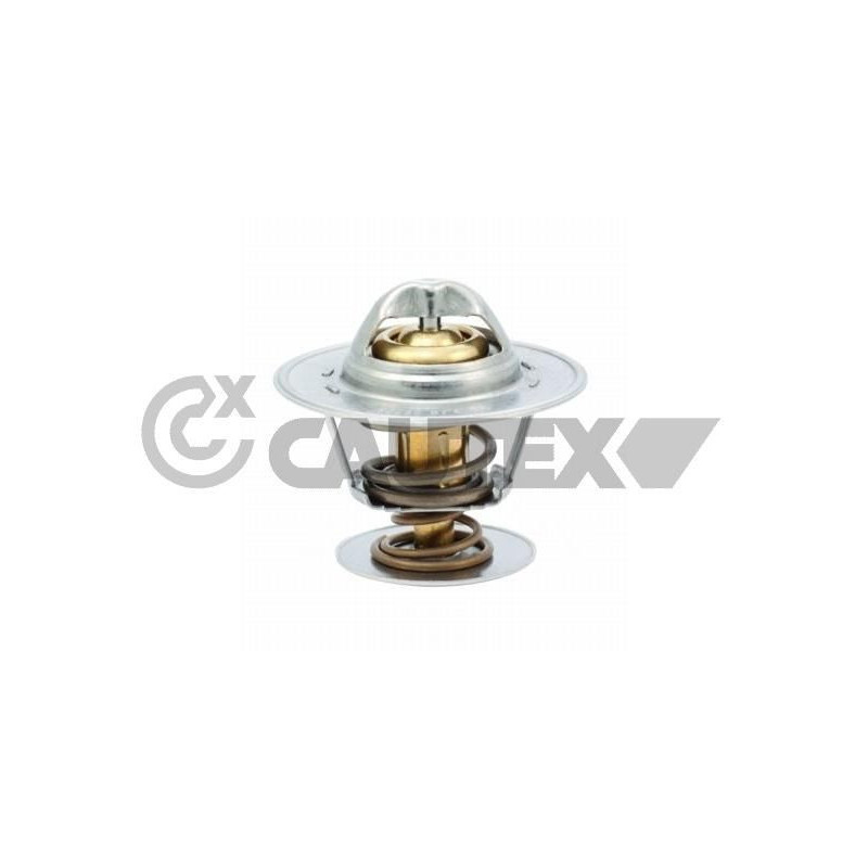 Pompa acqua - CAUTEX GOMMA E PARTI MOTORE