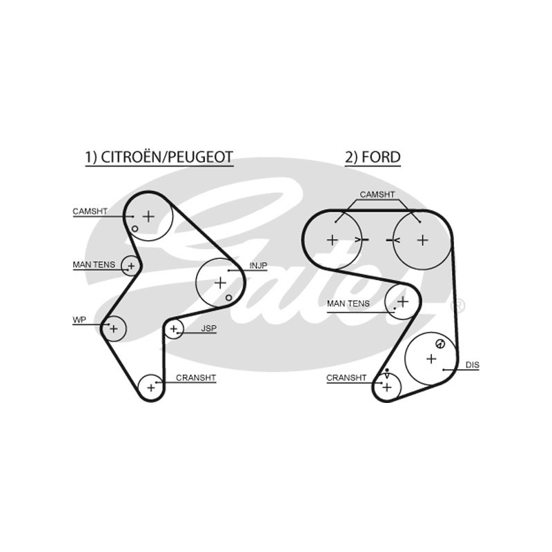 Cinghia/catena distribuzione - GATES