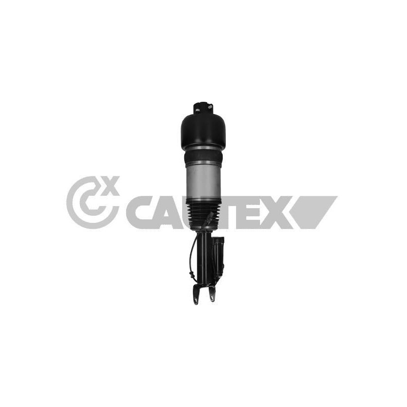 Ammortizzatore asse anteriore - CAUTEX GOMMA E PARTI MOTORE