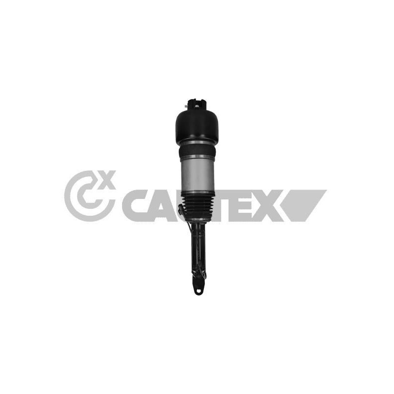 Ammortizzatore asse anteriore - CAUTEX GOMMA E PARTI MOTORE