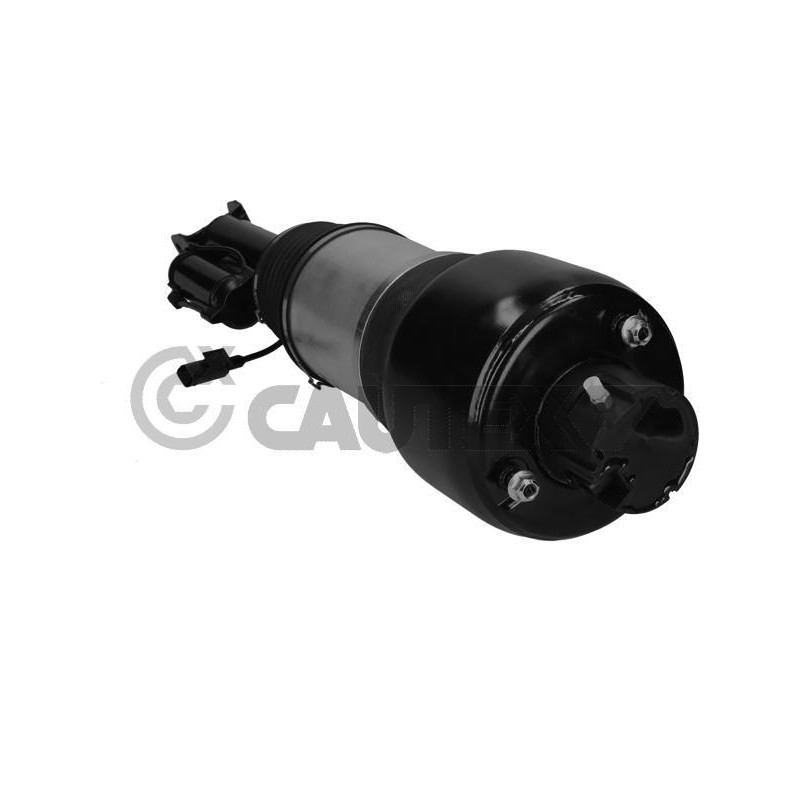 Ammortizzatore asse anteriore - CAUTEX GOMMA E PARTI MOTORE