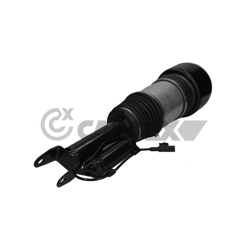 Ammortizzatore asse anteriore - CAUTEX GOMMA E PARTI MOTORE