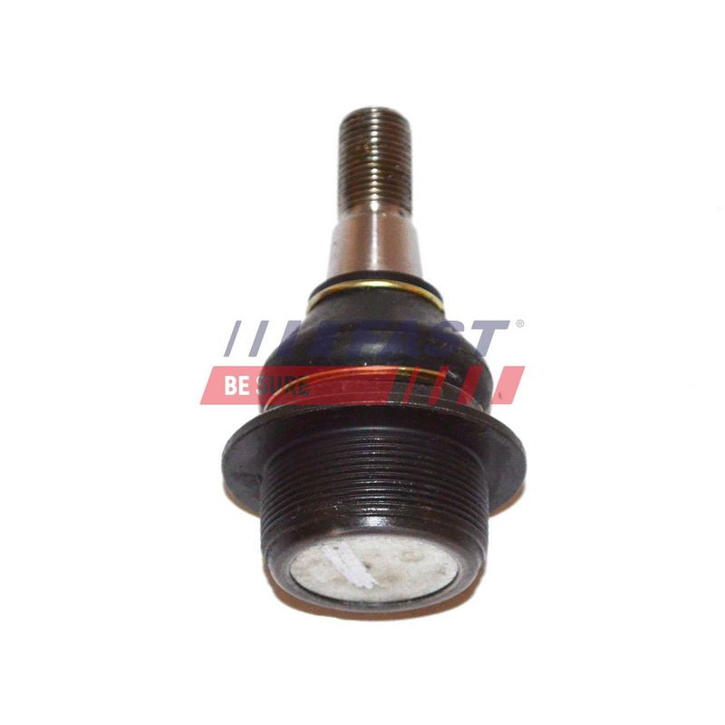 Giunto sferico assale anteriore - FAST