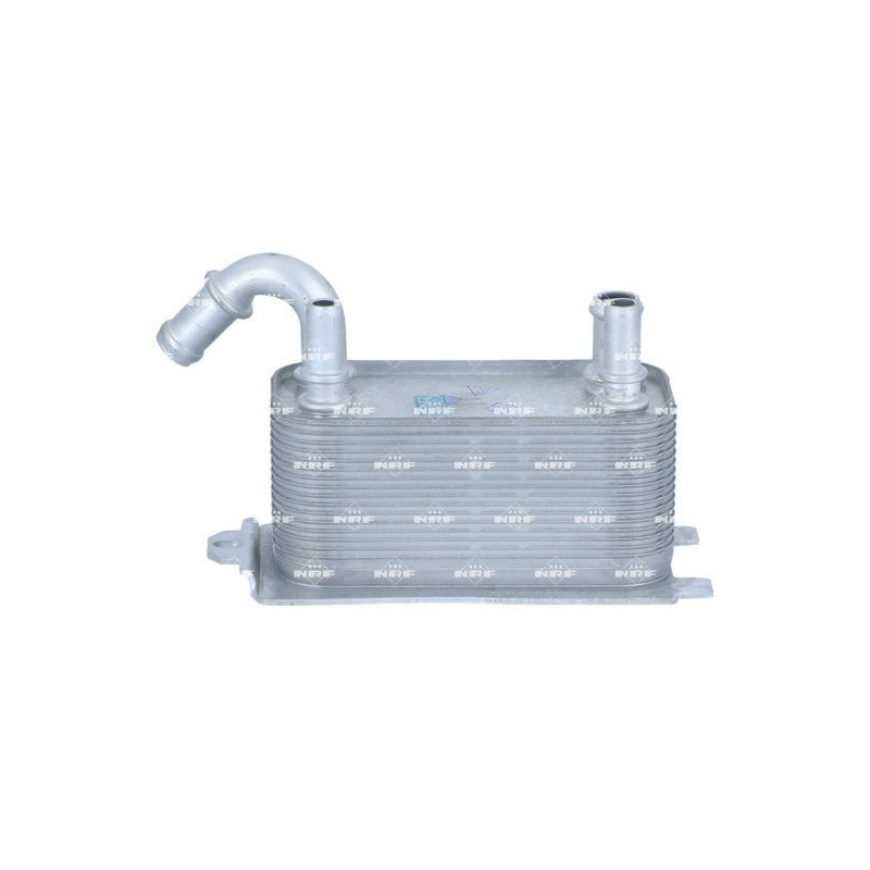 Radiatore olio motore - NRF