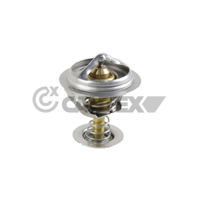 Termostato raffreddamento - CAUTEX GOMMA E PARTI MOTORE