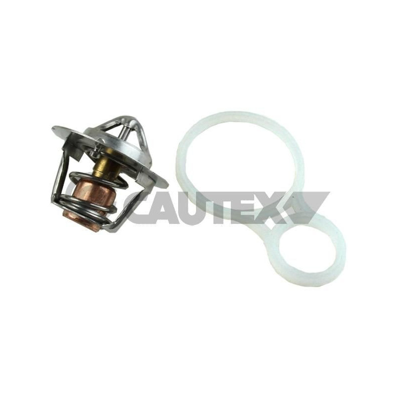 Termostato raffreddamento - CAUTEX GOMMA E PARTI MOTORE