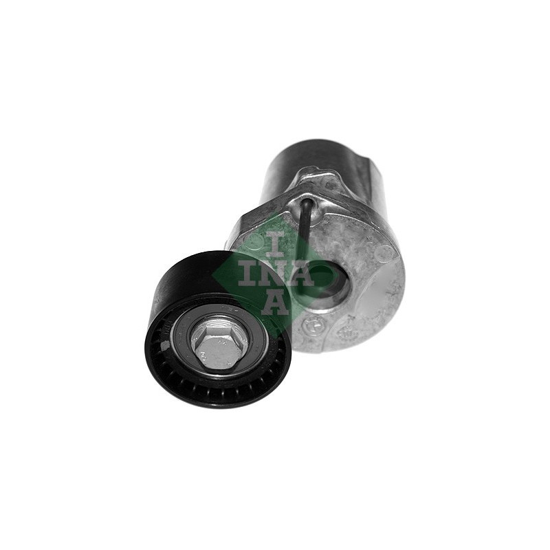 Tendicinghia trapezoidale - INA