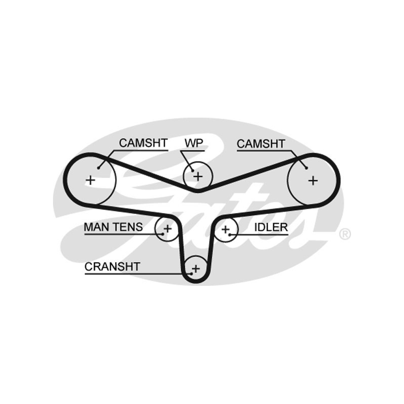 Cinghia/catena distribuzione - GATES