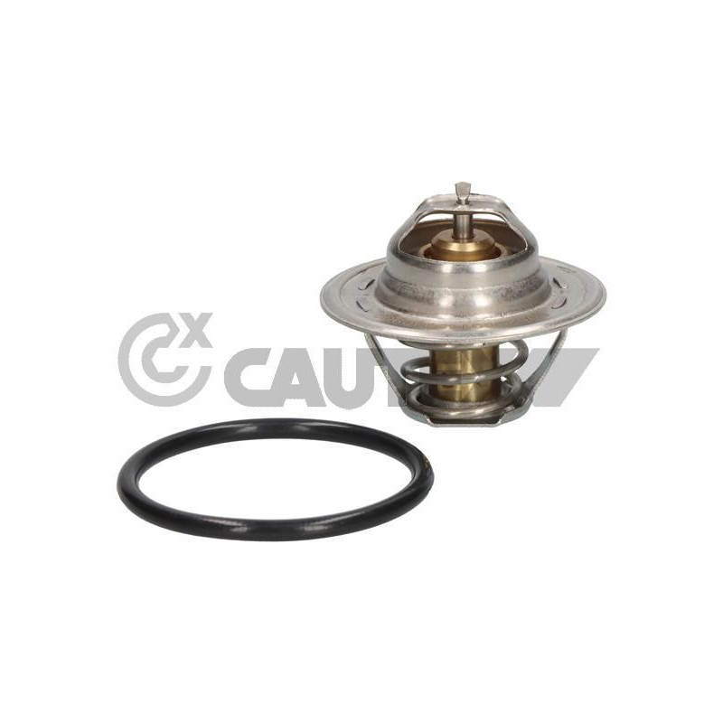 Termostato raffreddamento - CAUTEX GOMMA E PARTI MOTORE