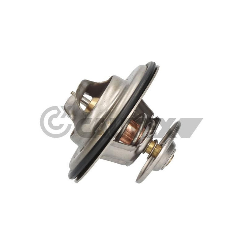 Termostato raffreddamento - CAUTEX GOMMA E PARTI MOTORE