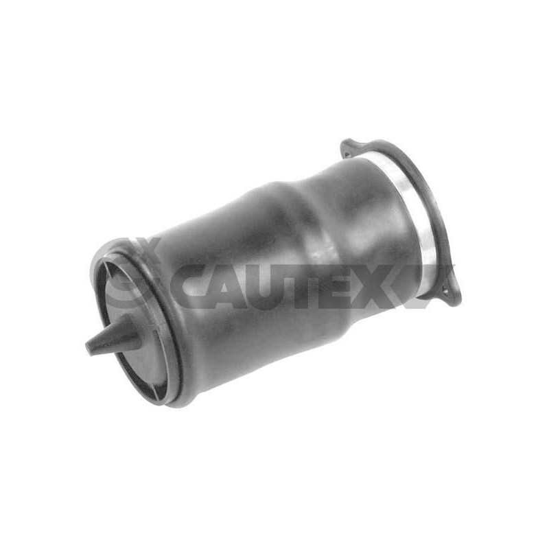 Molla sospensione asse posteriore - CAUTEX GOMMA E PARTI MOTORE