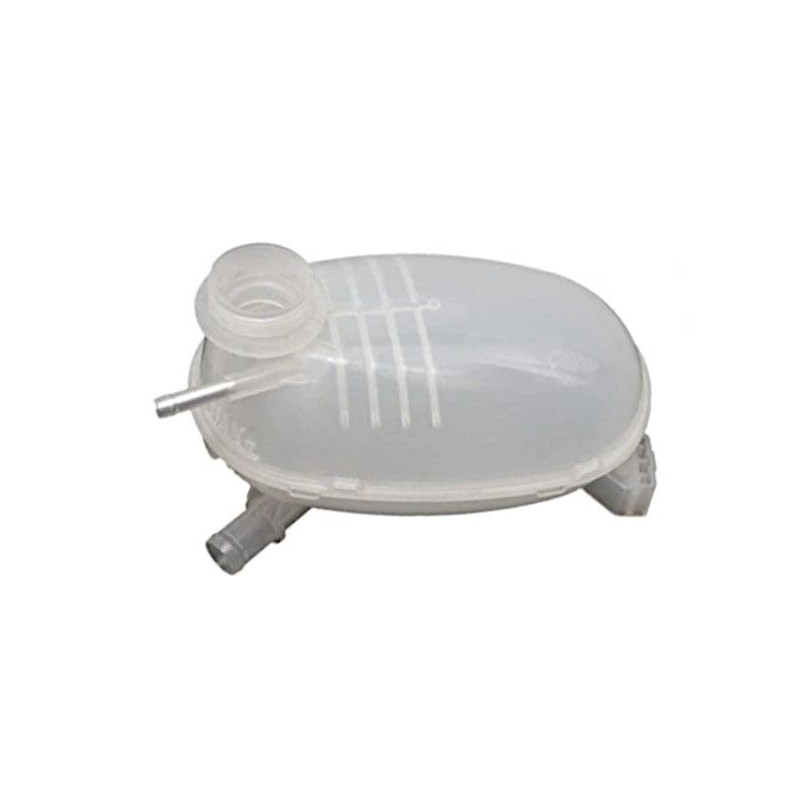 Vaschetta espansione - GOOM