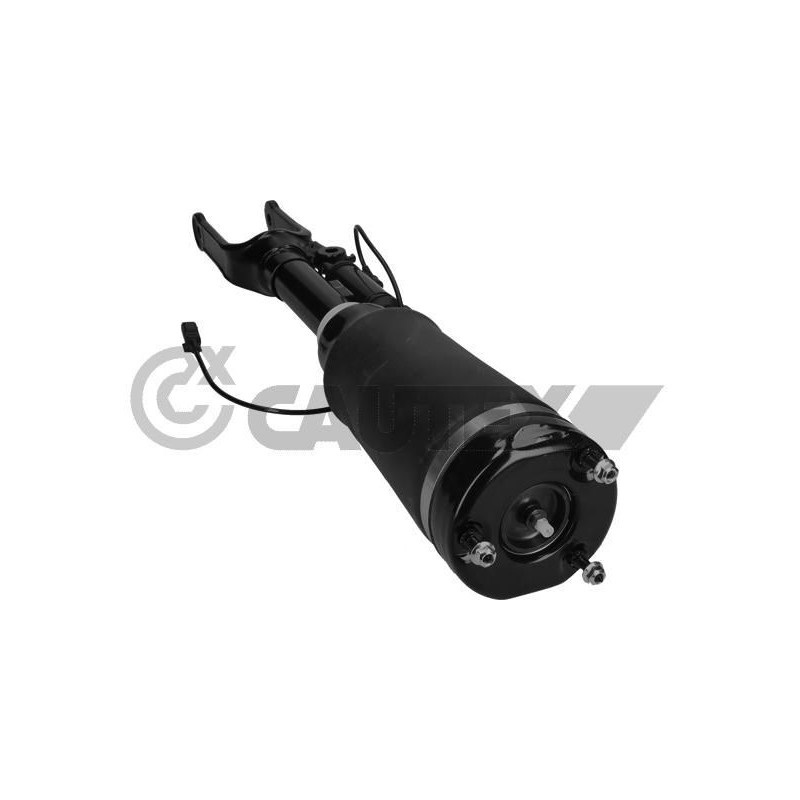 Ammortizzatore asse anteriore - CAUTEX GOMMA E PARTI MOTORE