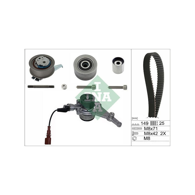 Tendicinghia trapezoidale - INA