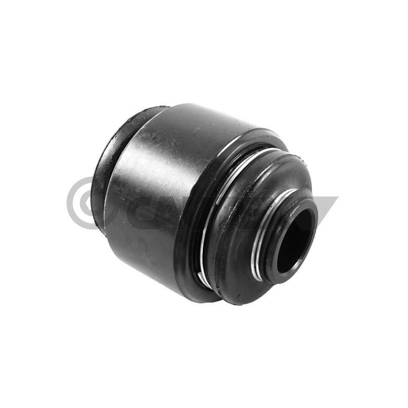 Braccio oscillante asse posteriore - CAUTEX GOMMA E PARTI MOTORE