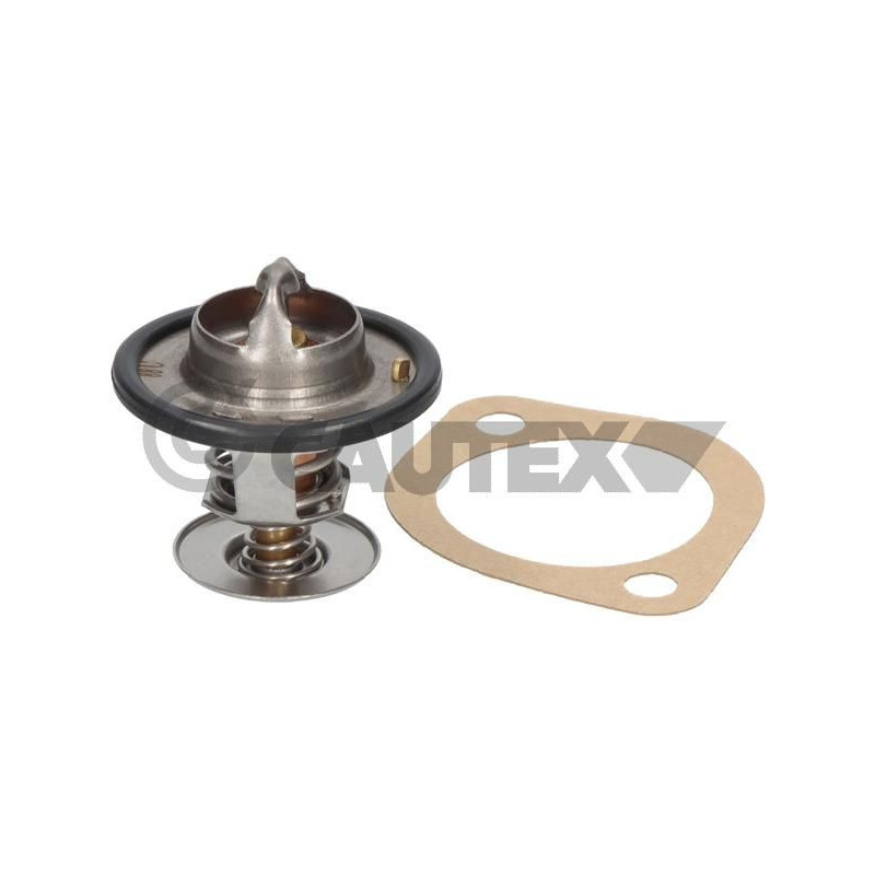 Termostato raffreddamento - CAUTEX GOMMA E PARTI MOTORE