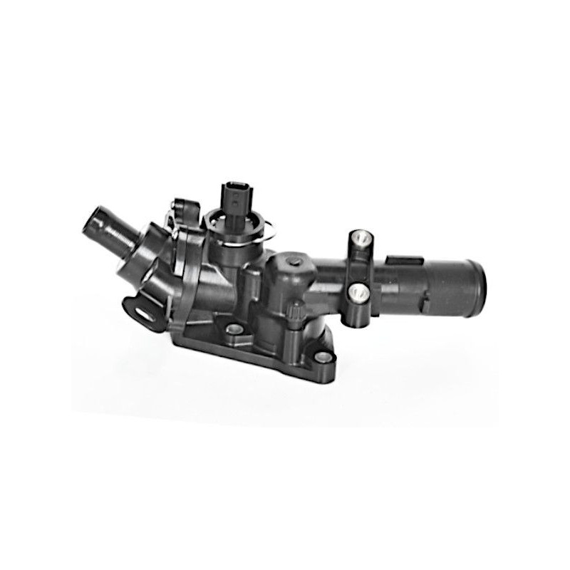 Termostato raffreddamento - GOOM