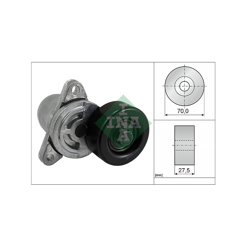 Tendicinghia trapezoidale - INA