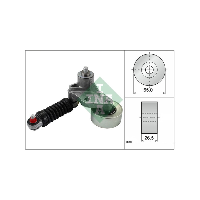Tendicinghia trapezoidale - INA