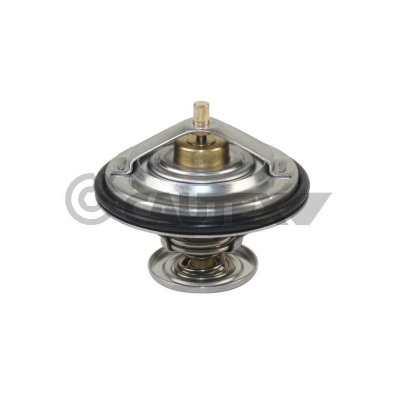 Termostato raffreddamento - CAUTEX GOMMA E PARTI MOTORE